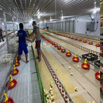 ساختمان فولادی مدرن Q235 Q345 خانه مرغ برای کشاورزی کارآمد