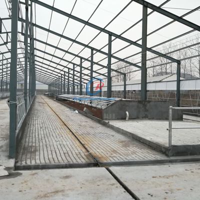 ساختمانی با قاب فولاد بلند مدت ساختمانی با قاب فولاد سفارشی ساختمان های مزرعه ای