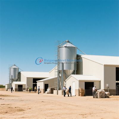 ساختار فولادی پیش ساخته خانه مرغ سفارشی فولادی قاب مرغ